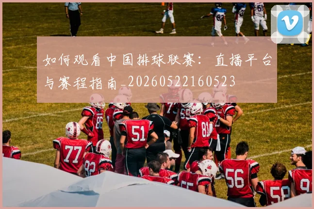 如何观看中国排球联赛：直播平台与赛程指南_20260522160523