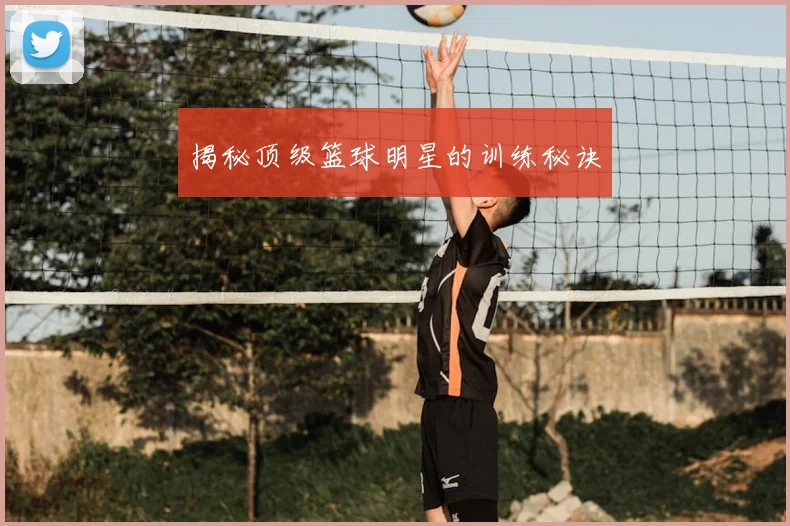揭秘顶级篮球明星的训练秘诀